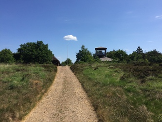 Kongenshus Mindepark