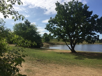Birkesø - Badesø og picnicområde