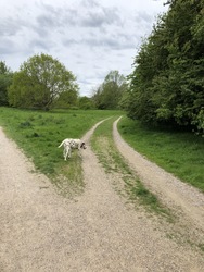 Baunesletten rundt