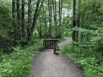 Baunesletten rundt