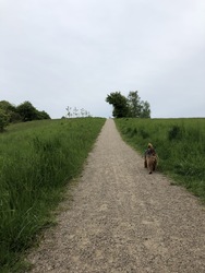 Baunesletten rundt