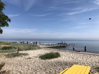 Teglværksskoven - Strand og badebro