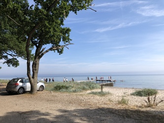 Teglværksskoven - Strand og badebro