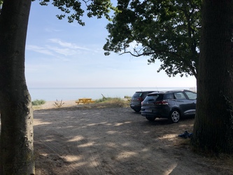 Teglværksskoven - Strand og badebro