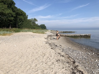 Teglværksskoven - Strand og badebro