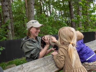 Skandinavisk Dyrepark Djursland