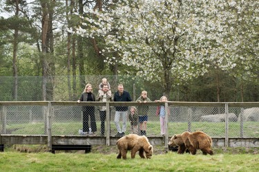 Skandinavisk Dyrepark Djursland - Billetsalg og parkering