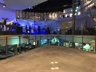 Naturama