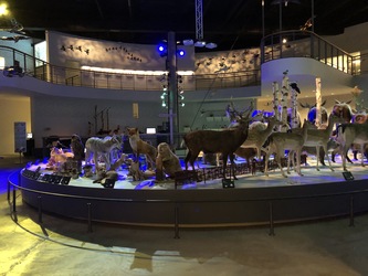 Naturama