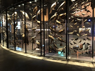 Naturama