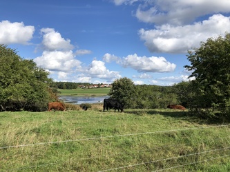 The trail around Søndersø