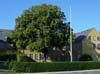 Jonstrup Gl. Seminarium - Egeskolen