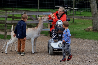 Skandinavisk Dyrepark Djursland - Oplev dyrene
