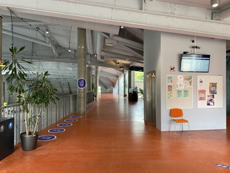 Korsgadehallen - Idrætshal, Dansesal og Bevægelseslokale
