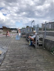 Havnebadet Islands Brygge
