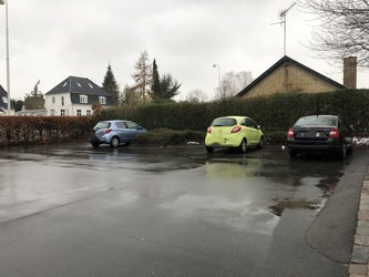 Hudlægerne i Birkerød