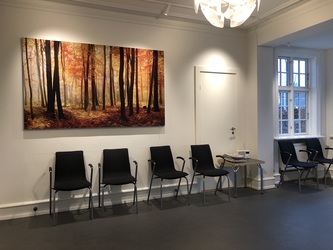 Hudlægerne i Birkerød