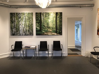 Hudlægerne i Birkerød