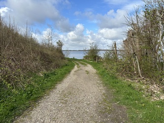 Badebroen ved Kyndeløse Sydmark