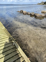 Badebroen ved Nagels Rende