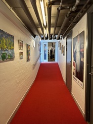 Gaia Museum Outsider Art -  Udstilling og butik