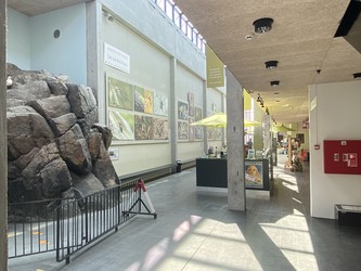 NaturBornholm