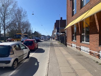 Reumatolog Marjan Rastgoy