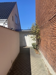 Reumatolog Marjan Rastgoy