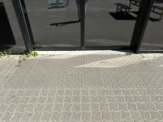 Givskud Zoo - Zootopia (P3) - Safarigrillen