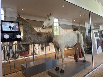 Christiansborg Slot - De Kongelige Stalde - Museum