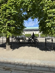 Christiansborg Slot - De Kongelige Stalde - Museum