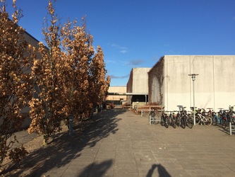Søndersøhallen