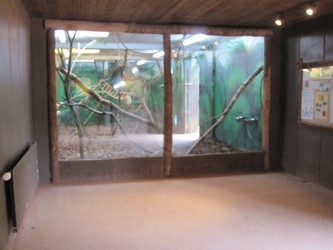 Givskud Zoo - Zootopia (P2) - Lemurer, Næsehorn, Bøfler