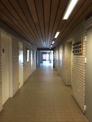 Vallerødskolen - 3. Hovedbygningen - Gymnastiksale