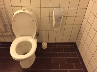 Hørsholm Skole -  4. Bygning C - Den Store Sal