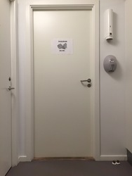 Grøndalslægerne