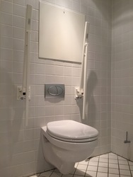 Grøndalslægerne
