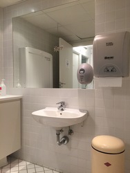 Grøndalslægerne