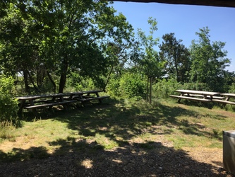 Kongenshus Mindepark -   Udsigtstårn, udstilling og picnicområde