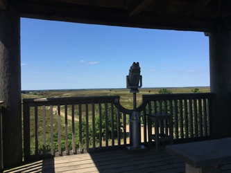 Kongenshus Mindepark -   Udsigtstårn, udstilling og picnicområde