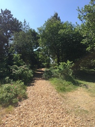 Kongenshus Mindepark -   Udsigtstårn, udstilling og picnicområde