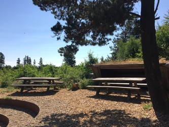 Kongenshus Mindepark -  Shelterplads