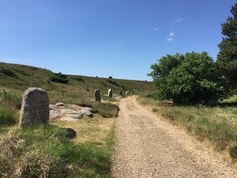 Kongenshus Mindepark -  Gåtur langs mindestenene