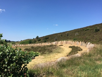 Kongenshus Mindepark -  Gåtur langs mindestenene