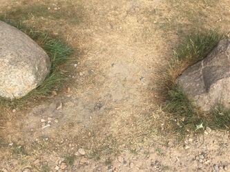 Birkesø -  Badesø og picnicområde