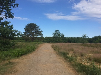 Birkesø -  Badesø og picnicområde