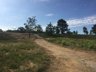 Birkesø -  Badesø og picnicområde