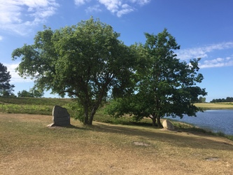 Birkesø -  Badesø og picnicområde