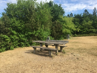 Birkesø -  Badesø og picnicområde