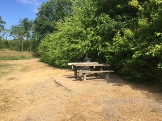 Birkesø -  Badesø og picnicområde